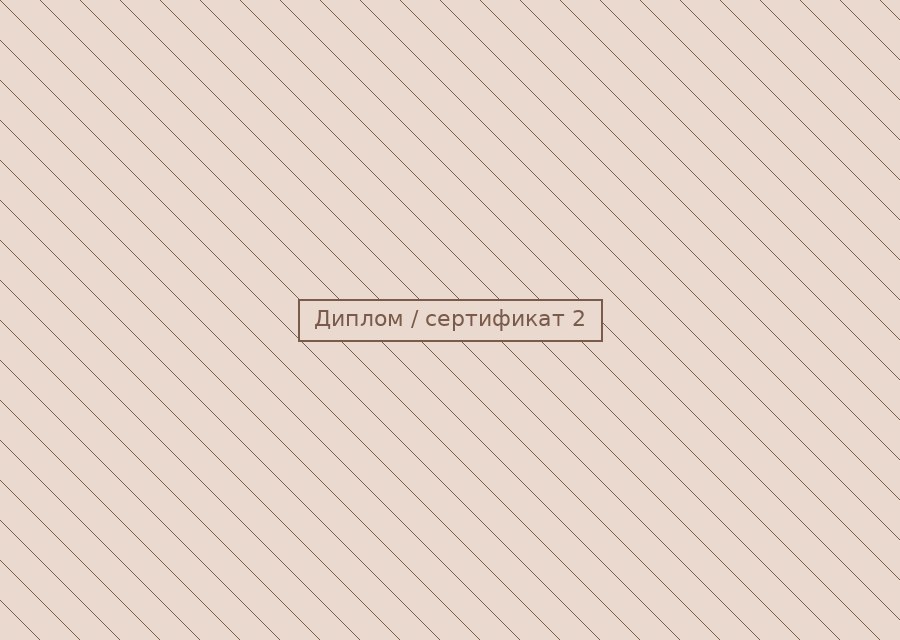 Diploma 2